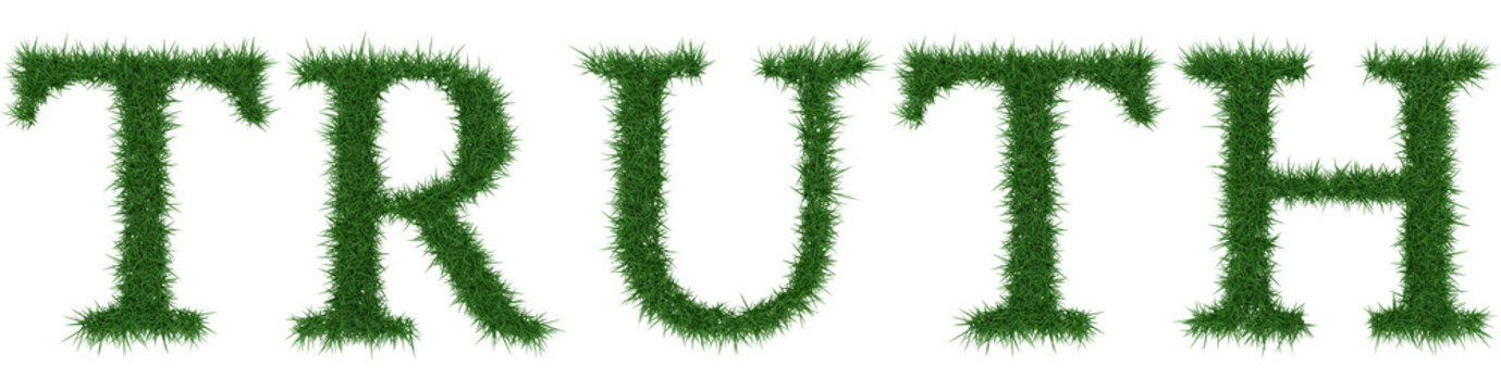 Truth - 3D rendering fresh Grass letters isolated on whhite background.
