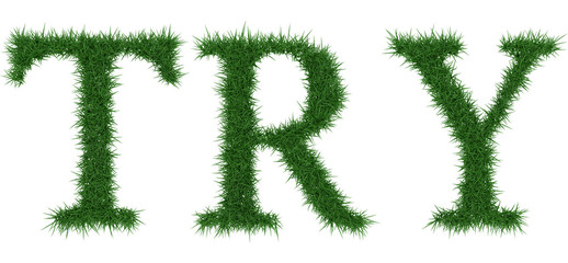 Try - 3D rendering fresh Grass letters isolated on whhite background.