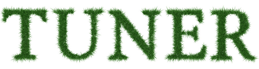 Tuner - 3D rendering fresh Grass letters isolated on whhite background.