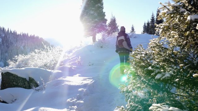 Snowboard and ski healthy activities, adventure to alps mountains, Swiss