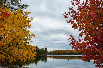 Obraz premium Autumn in Ontario