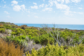 Obraz premium Beautiful Newport Beach, Southern California 