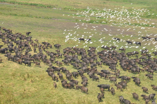 The view from the helicopter. Mozambique