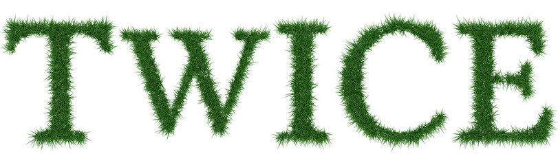 Twice - 3D rendering fresh Grass letters isolated on whhite background.