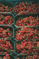 red currants on display
