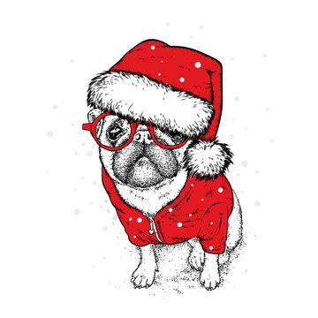 Cute puppy in a New Year hat and scarf. Vector illustration. Pedigree dog. Santa Claus. New Year's and Christmas.