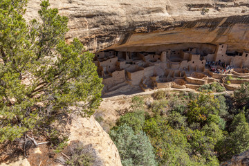 Cliff Palace Ruins, Mesa Verde National Park, Colorado