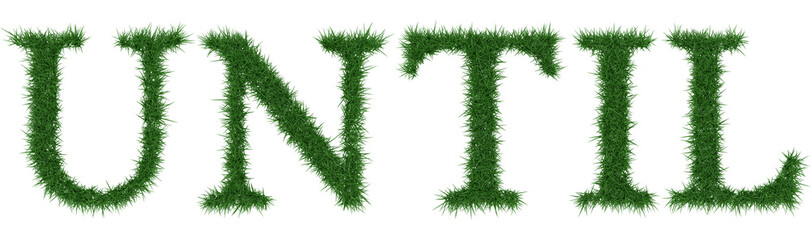 Until - 3D rendering fresh Grass letters isolated on whhite background.