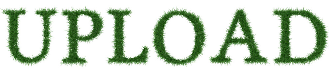 Upload - 3D rendering fresh Grass letters isolated on whhite background.
