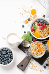Homemade granola and healthy breakfast ingredients - milk, dried fruit and berries
