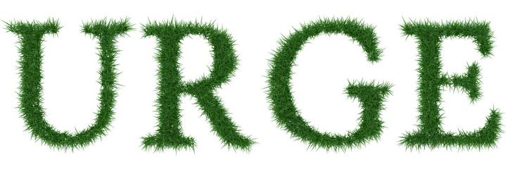 Urge - 3D rendering fresh Grass letters isolated on whhite background.