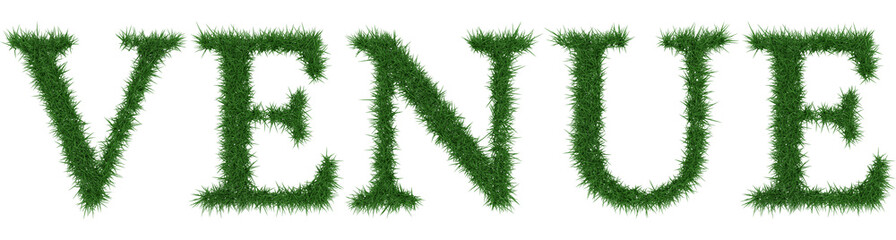 Venue - 3D rendering fresh Grass letters isolated on whhite background.
