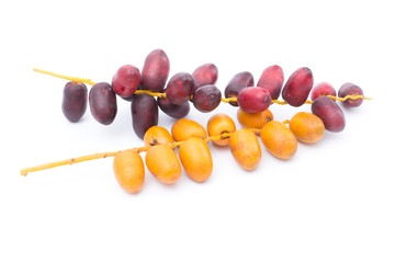Fresh organic Date Palm ,fruit for Ramadan Kareem to give energy of Muslim isolated on white background    