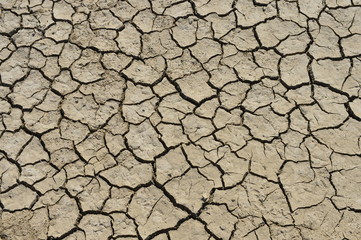 Dry soil cracking