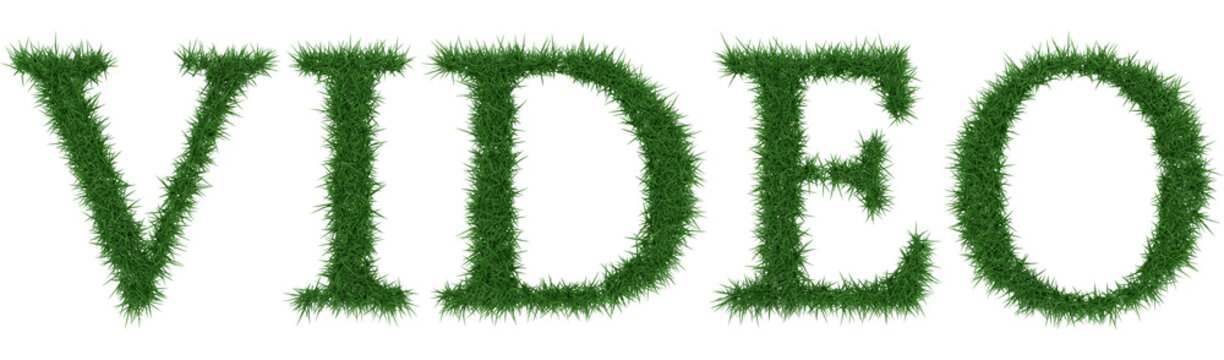 Video - 3D rendering fresh Grass letters isolated on whhite background.