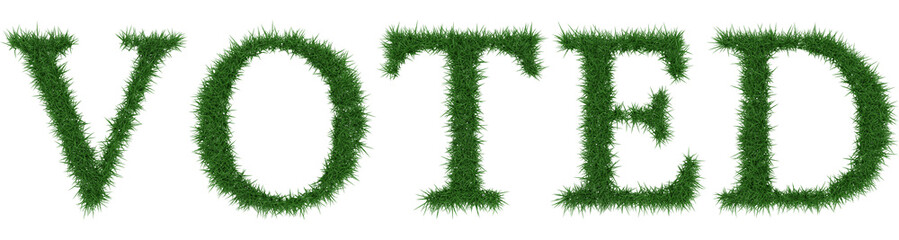 Voted - 3D rendering fresh Grass letters isolated on whhite background.