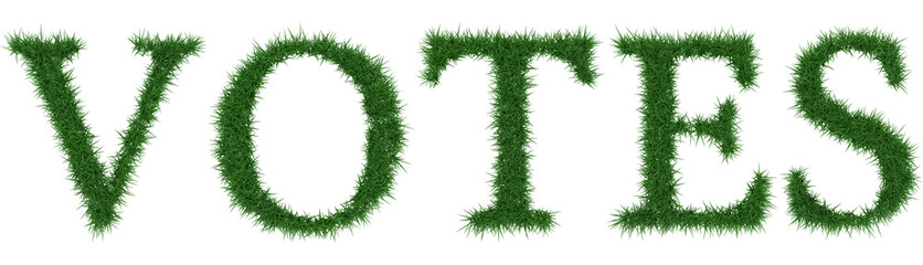 Votes - 3D rendering fresh Grass letters isolated on whhite background.