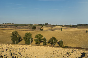 Fototapeta na wymiar Rural landscape with plowed fields