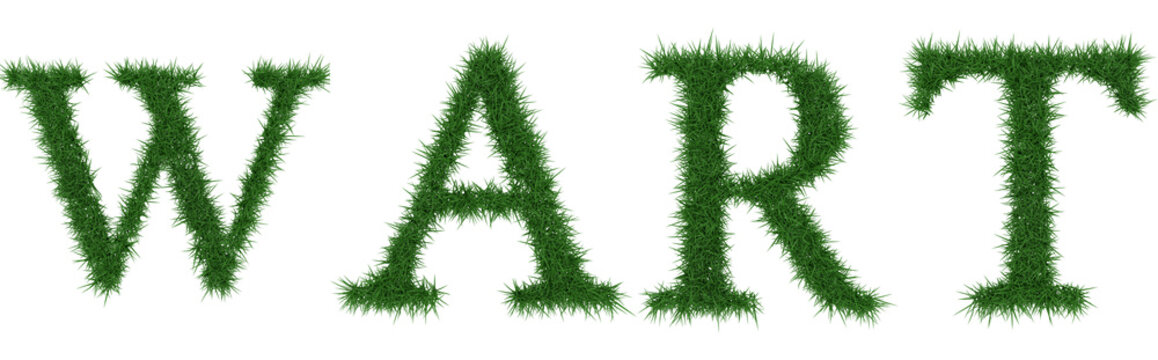 Wart - 3D rendering fresh Grass letters isolated on whhite background.