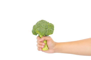 Naklejka na ściany i meble Green fresh broccoli in hands on white background