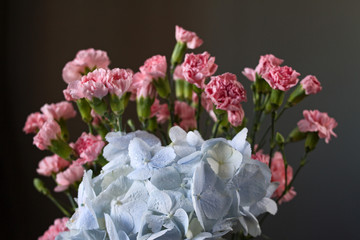 Obraz premium Bouquet of delicate blue hydrangeas with drops of water and pink carnations on a dark gray background.