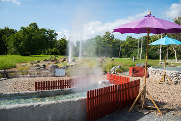 ankamphaeng hot springs in chiangmai.the water caused by the change from under the surface of the Earth has heated water with temperature up to 100&deg; c.