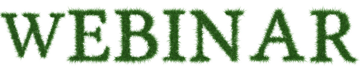 Webinar - 3D rendering fresh Grass letters isolated on whhite background.