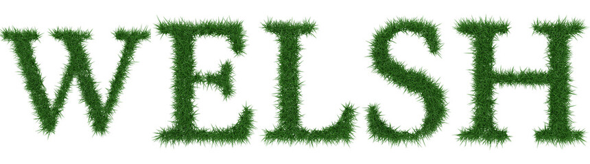 Welsh - 3D rendering fresh Grass letters isolated on whhite background.