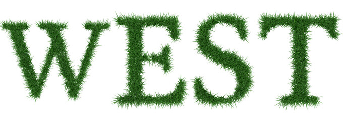 West - 3D rendering fresh Grass letters isolated on whhite background.