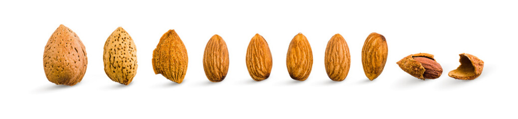 Almond isolated. Seamless pattern with almond. Almond on the white background. Nuts on white background. Collection. Clipping path included. Full depth of field.