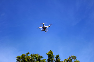 Drones camera with branches and the blue sky