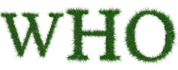 Who - 3D rendering fresh Grass letters isolated on whhite background.