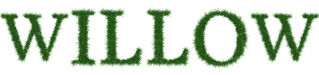 Willow - 3D rendering fresh Grass letters isolated on whhite background.