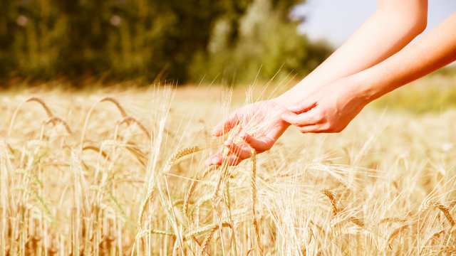 Picture of man with spikelets