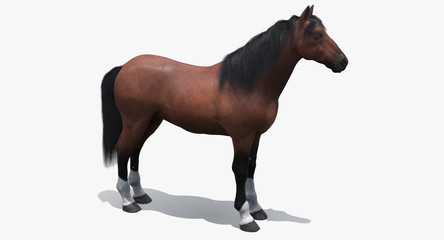 Fototapeta na wymiar Brown Horse (3D)