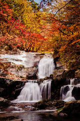 Fototapeta na wymiar Gangwon-do Province, South Korea - Red leaves and Bangtaesan two-stage waterfall.