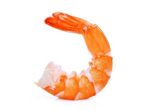 shrimp isolated on white background