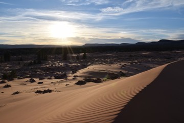 Fototapeta na wymiar Sunset Dunes 2