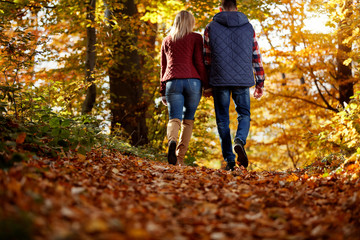 Fototapeta premium couple walking in the park.