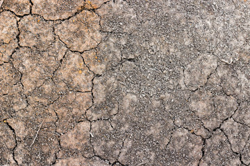 dried soil texture background