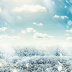 Beautiful winter frosty day landscape with snow tress , sky and snow fall