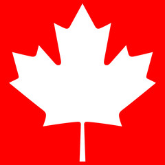 Canada maple icon