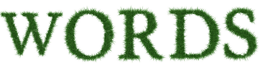 Words - 3D rendering fresh Grass letters isolated on whhite background.