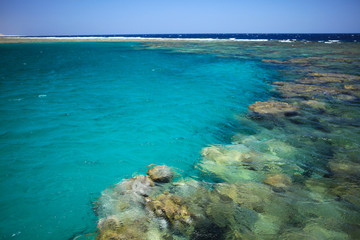 Fototapeta na wymiar Beautiful coral reef in Marsa Alam, Egypt