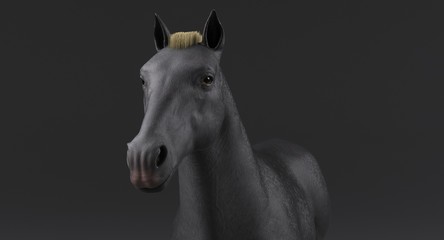 Fototapeta na wymiar Gray Horse (3D)