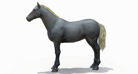 Obraz na płótnie Canvas Gray Horse (3D)