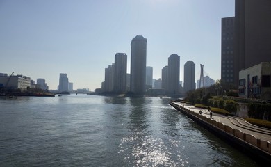 Fototapeta premium 東京百景