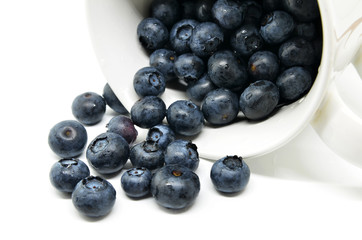 Tasty blueberries isolated