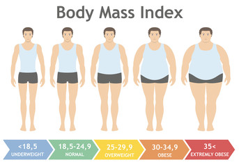 Body mass index vector illustration from underweight to extremely obese in flat style. Man with different obesity degrees. Male body with different weight. - 171927648