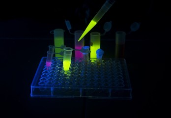 Fluorescent solutions in vials